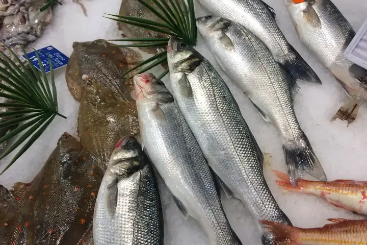 Poissons frais sur glace, prêts pour une délicieuse marinade. Loups de mer argentés et poissons plats tachetés.